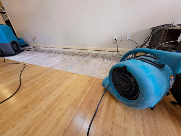 Professional Basement Flood Cleanup technician working in Tremonton, UT